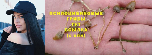 индика Алексеевка