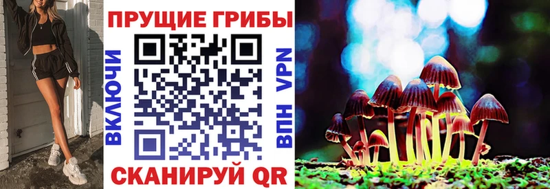 купить наркотик Феодосия это как зайти Псилоцибиновые грибы ЛСД